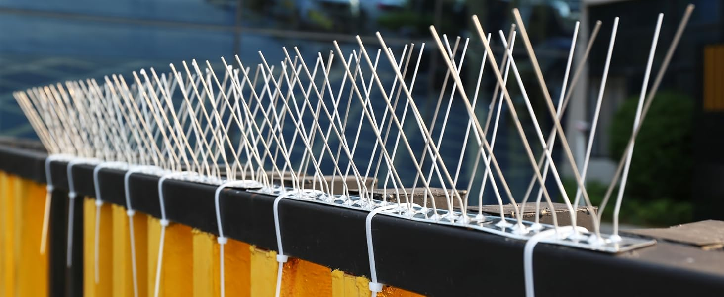 Bird Spikes Installation Khammam
