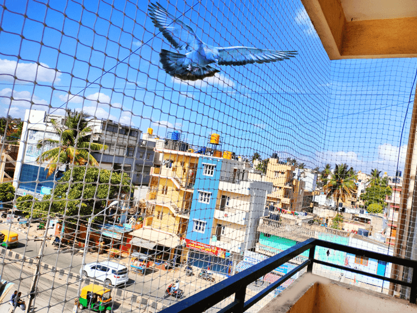 Pigeon Safety Nets installation services by Jashuva Safety Nets